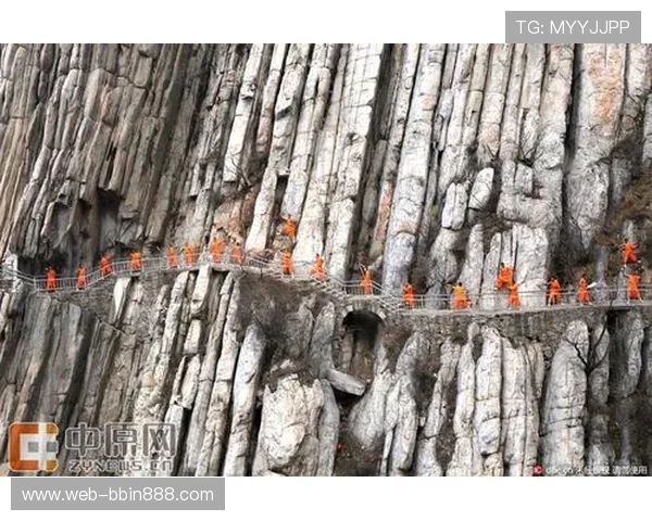 AG网络老虎机游戏攻略大全帮助新手快速掌握游戏技巧提升胜率